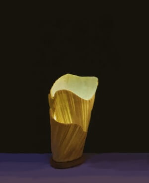 single pleated coral reef