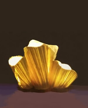 triple pleated coral reef